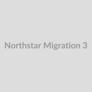 Abstract placeholder for migration scenario 3