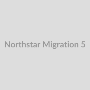 Abstract placeholder for migration scenario 5